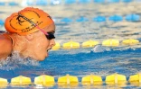 meeting natation 2017