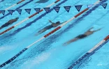 Natation 