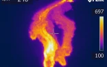 Volcan