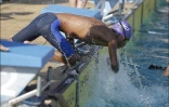 la Jeanne natation N2 Antibes