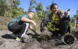  Sainte-Anne : 1 000 arbres plantés par des enfants à l’ENS Les Orangers par des enfants 