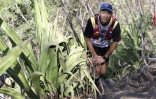 Grand Raid 2019