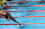 Natation 