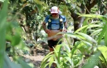 Grand Raid 2023