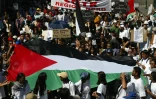 Le Collectif Réunionnais Palestine Solidarité répond à la Ligue des droits de l'Homme