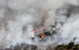 Feu du Maïdo