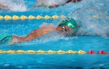 natation 