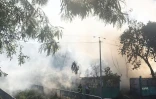 Feu