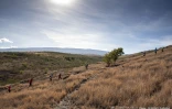 Trail de villèle 