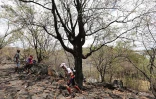 grand raid 2013
