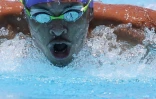  natation méeting du Port 