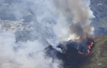 Incendie au Maïdo : la fumée visible de loin 
