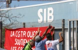 SIB