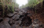 dégats agriculture chemin exploitation montvert
