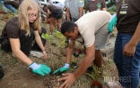 plan 1 million arbres La Possession au college Texeira da motta 