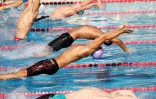 meeting natation 2017