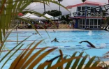 Natation