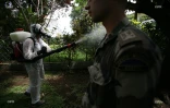 Chikungunya