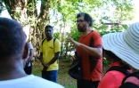 Saint-Paul : mobilisation à la grotte du Peuplement pour préserver l'environnement
