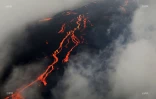 volcan 2019