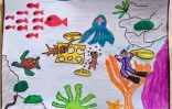 Réserve marine : les gagnants du concours de dessin dévoilés