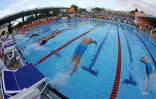 interclubs de natation 2015