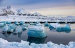 Des blocs de glace au large de Nuuk, au Groenland, le 7 mars 2025