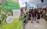 plan 1 million arbres La Possession au college Texeira da motta 