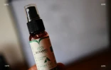 CBD 