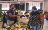 Le Port : 450 personnes à la dernières édition des galeries circulaires