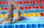 Meeting natation 2015