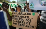 Contrats aidés