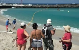 La plage ouverte à la baignade aux Roches Noires