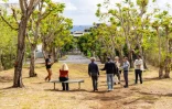 La Cinor participe à une matinée Living Lab consacrée à l’avenir du Parc Technor