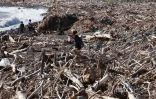 ramassage déchets après le cyclone 