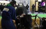 Heurts et sifflets au Salon de l'agriculture, les manifestants cherchent Macron [?]
