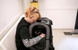 Hélèna caresse son chat Odin, atteint d'un cancer de la paupière et de la gorge, lors d'un rendez-vous chez le vétérinaire à l'hôpital vétérinaire de Maison-Alfort, le 9 juin 2026 dans le Val-de-Marne