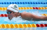 Meeting natation 2015