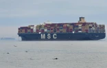 Un porte-conteneur de l'entreprise MSC (Mediterranean Shipping Company) en attente de déchargement des marchandises dans le port de Los Angeles (Californie) le 6 octobre 2021 