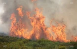 Incendie au Maïdo 
