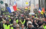 Des "gilets jaunes" manifestent à La Rochelle, le 12 janvier 2019