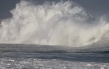 houle en bord de mer avec de grosses vagues