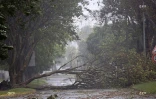 Cyclone Bejisa