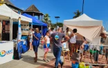  Saint-Gilles : près de 700 visiteurs aux rendez-vous des baleines