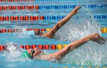 natation 