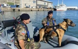 Marine Nationale : à terre ou en mer, les soldats et leurs chiens ne font qu'un