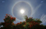 Halo