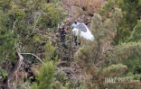crash helico Sans Souci