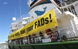 Greenpeace