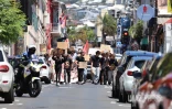 Mobilisation du 17 octobre : plusieurs dizaines de personnes ont répondu à l'appel à La Réunion 